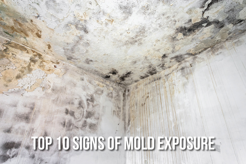 The Top 10 Signs of Mold Exposure in Your Home